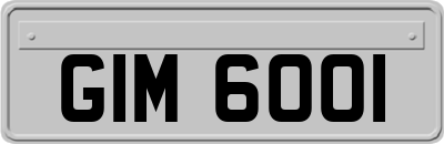 GIM6001