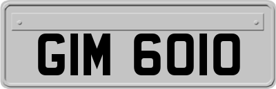 GIM6010