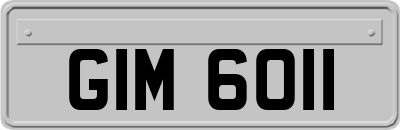 GIM6011