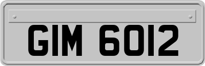 GIM6012