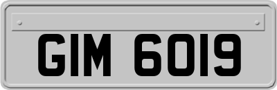 GIM6019