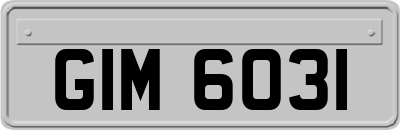 GIM6031