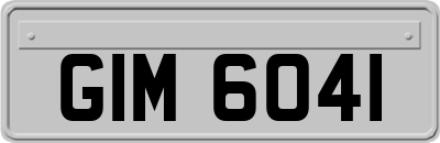 GIM6041