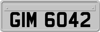 GIM6042