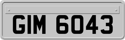 GIM6043