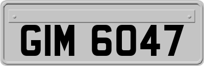 GIM6047