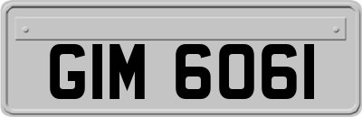 GIM6061
