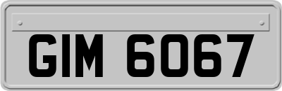 GIM6067