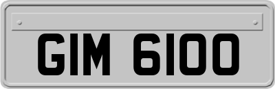 GIM6100