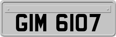 GIM6107