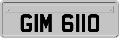 GIM6110