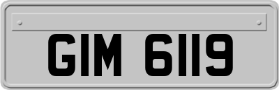 GIM6119