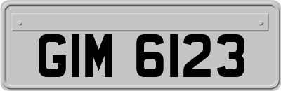 GIM6123
