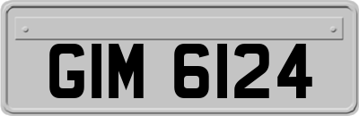 GIM6124