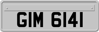 GIM6141