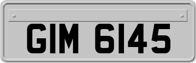 GIM6145