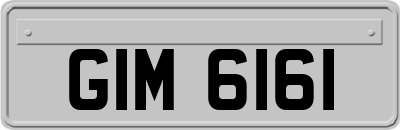 GIM6161