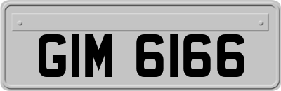 GIM6166
