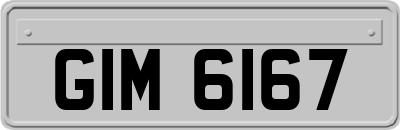 GIM6167