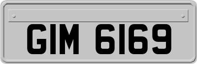 GIM6169