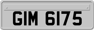 GIM6175