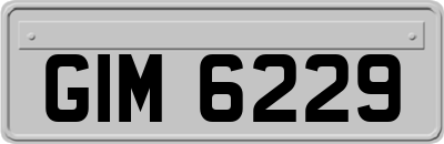 GIM6229
