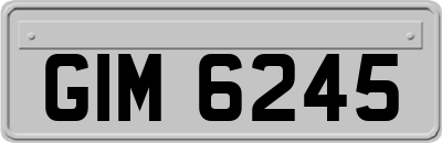 GIM6245