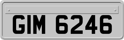 GIM6246