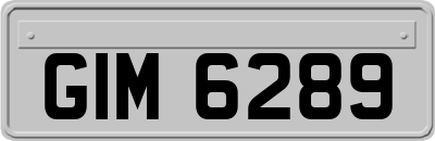GIM6289