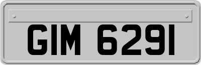 GIM6291