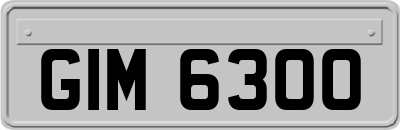 GIM6300