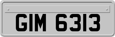 GIM6313