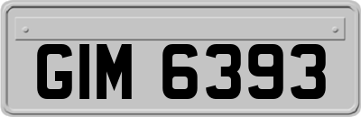 GIM6393