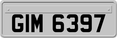 GIM6397