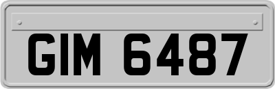 GIM6487