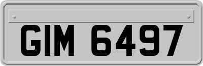 GIM6497