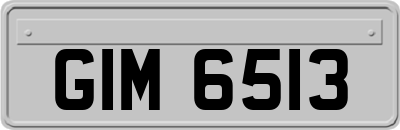 GIM6513