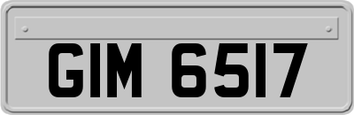 GIM6517