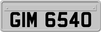 GIM6540