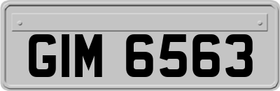 GIM6563