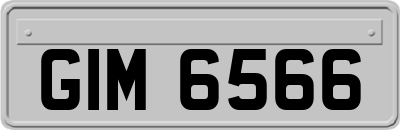 GIM6566