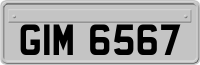 GIM6567