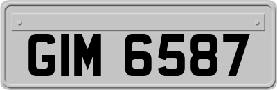 GIM6587