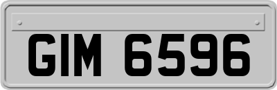 GIM6596