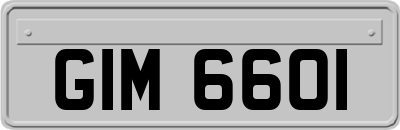 GIM6601