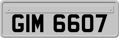 GIM6607