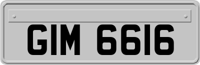 GIM6616