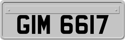 GIM6617