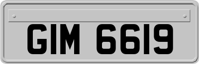 GIM6619