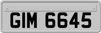 GIM6645